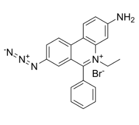 CAS號：58880-05-0，EMA[單疊氮化溴乙非啶]，EMA [Ethidium monoazide bromide]