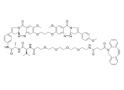 CAS:2241644-09-5，DBCO-PEG4-VA-SG3132，二苯基環辛炔-四聚乙二醇-VA-SG3132