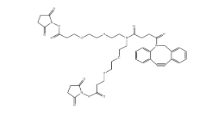 CAS號：2128735-29-3，N-DBCO-N-bis(PEG2-C2-NHS ester)，N-Dbco-N-bis(peg2-nhs ester)，N-二苯基環(huán)辛炔-N-bis(二聚乙二醇-C2-琥珀酰亞胺酯)