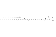 cas:2112738-14-2，DSPE-PEG4-DBCO，磷脂-四聚乙二醇-二苯并環(huán)辛炔