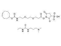 CAS：2353409-48-8，TCO-PEG2-Sulfo-NHS ester，反式環辛烯-二聚乙二醇-Sulfo-羥基琥珀酰亞胺酯