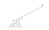 CAS號：1927884-65-8，5-FITC-四聚乙二醇-炔基，5-FITC-PEG4-alkyne，