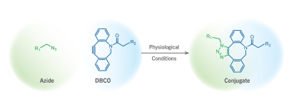 DBCO-NHCO-PEG2-CH2COOH ， 二苯基環辛炔-芴甲氧羰基-三聚乙二醇-甲酸基團