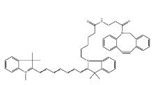 CY7-二苯基環(huán)辛炔;二苯并環(huán)辛炔-CY7;CY7-二苯并環(huán)辛炔，DBCO-Cyanine7，CAS號(hào)：2253710-45-9