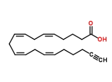 Arachidonic acid-alkyne，CAS號：1219038-32-0