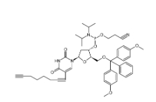 clk-a03-1g c8-alkyne-du-cep, 1 g pack，CAS號：938186-76-6