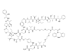 DBCO-(PEG2-VC-PAB-MMAE)2，CAS:2259318-55-1，二苯并環(huán)辛炔-(二聚乙二醇-VC-PAB-MMAE)2