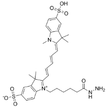 2055138-61-7；diSulfo-Cy5 hydrazide；二磺酸-CY5-酰肼	