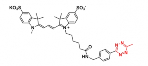 Me-tetrazine-Disulfo-Cyanine3；甲基四嗪-磺酸基Cy3