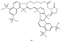 910482-46-1；Cyanine5.5 NHS ester,Cy5.5-NHS ester；Cy5.5 N-羥基琥珀酰亞胺酯	