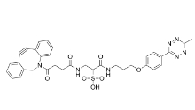 1802238-48-7；Methyltetrazine-DBCO,Methyltetrazine-Dibenzocycloo；甲基四嗪-二苯并環辛炔	