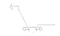 2107273-74-3；N-(azide-PEG3)-N＇-(Mal-PEG4)-Cy5		 瑞禧生物