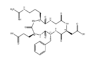 cyclo(RGD-DPhe-E) ，756500-22-8，RGD環(huán)肽        瑞禧生物