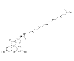 2183440-40-4，5-FITC-PEG5-COOH，F(xiàn)luorescein-PEG5-acid，熒光素-五聚乙二醇-丙酸	