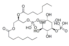 CAS號：214069-07-5，PI(4)P, DI C8，4-單磷酸磷脂酰肌醇