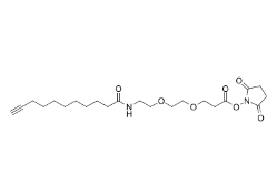 CAS號：1006592-59-1，Propargyl-C8-amido-PEG2-NHS ester