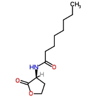 C8-HSL，CAS號(hào)：147852-84-4             瑞禧生物