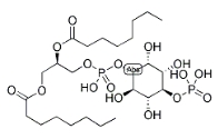 PI(4)P, DI C8，CAS號：214069-07-5，4-單磷酸磷脂酰肌醇