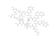 DOTA多肽分子探針,619300-53-7,DOTA NOC acetate