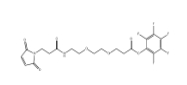 cas:1347750-81-5，Mal-NH-PEG2-CH2CH2COOPFP ester，馬來酰亞胺二聚乙二醇CH2CH2COOPFP ESTER，抗體藥物偶聯(lián)物（ADC）