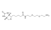 cas:138529-46-1，(+)-Biotin-PEG2-CH2CH2NH2  ，生物素-PEG2-胺