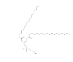 DSPE二硬脂酰磷脂酰乙醇胺，1069-79-0 ，DSPE藥用輔料， 1,2-二硬脂?；?sn-丙三基-3-磷脂酰乙醇胺