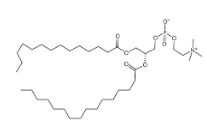 1-Myristoyl-2-palmitoyl-sn-glycero-3-phosphocholine，69525-80-0，1-肉豆蔻?；?2-棕櫚?；蚜字? /><br /></p>【基本信息】：<br />包裝：瓶裝！<br />產地：西安<br />儲存：冷藏<br />規格：50mg  100mg  250mg  500mg<br />狀態：固體/粉末/溶液<br />溫馨提示：僅用于科研！不可用于人體實驗！<br />【關于我們】：西安瑞禧生物科技有限公司是一家集研發、生產及銷售高品質科研試劑為一體的高科技企業，主要有以下業務方向：合成磷脂、高分子聚乙二醇衍生物、嵌段共聚物、順磁/超順磁性納米顆粒、納米金及納米金棒、近紅外熒光染料、活性熒光染料、熒光標記的葡聚糖BSA和鏈霉親和素、蛋白交聯劑、小分子PEG衍生物、點擊化學產品、樹枝狀聚合物、環糊精衍生物、大環配體類、熒光量子點、透明質酸衍生物、石墨烯或氧化石墨烯、碳納米管、富勒烯等等，同時還提供多種定制產品服務！<br />【推薦產品】：<br />DSPE-PEG-Azide<br />DSPE-PEG-Amine, MW 10000 ammonium<br />DSPE-PEG-alkyne, MW 2,000<br />DSPE-PEG8-amido-DBCO<br />DSPE-PEG4-Maleimide<br />DSPE-PEG2000-triGalNAc ammonium					</div>
					
					<div   id=